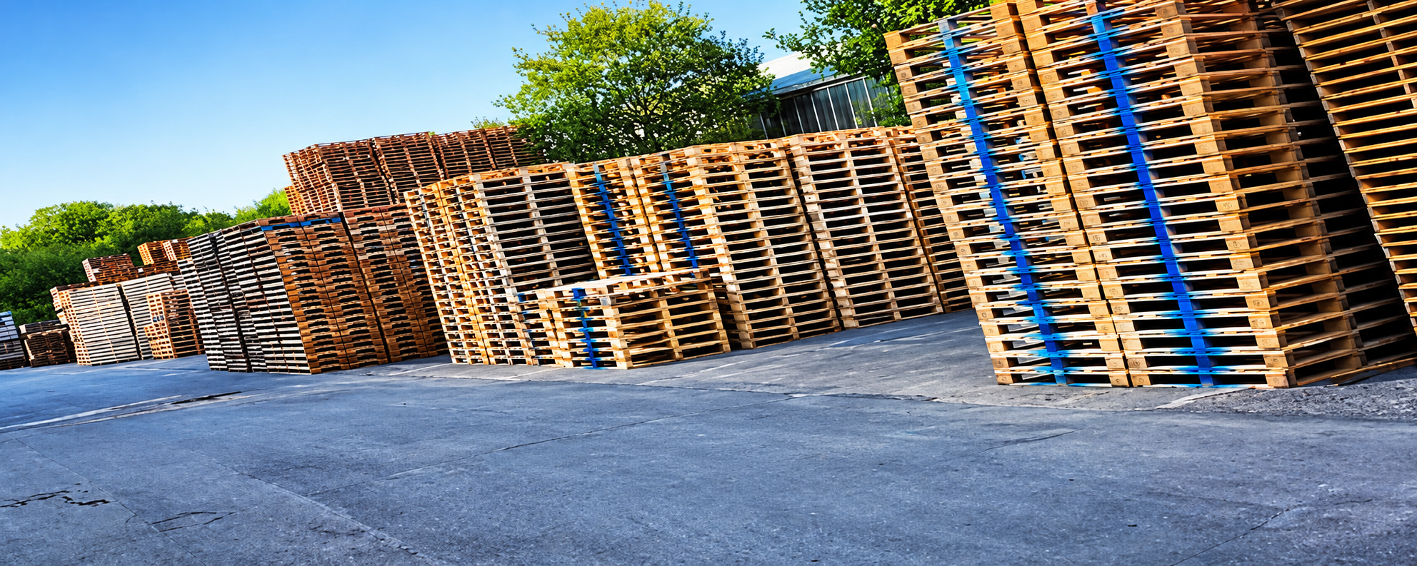 Stacks of wooden pallets at our pallet manufacturing site