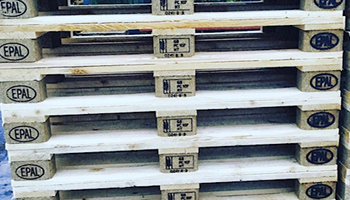Euro pallet from the existing product range