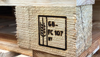 Wooden pallets from our manufacturing range