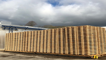 Wooden pallets stacked at our manufacturing site